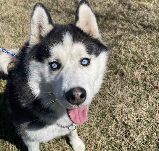 Photo of Kato