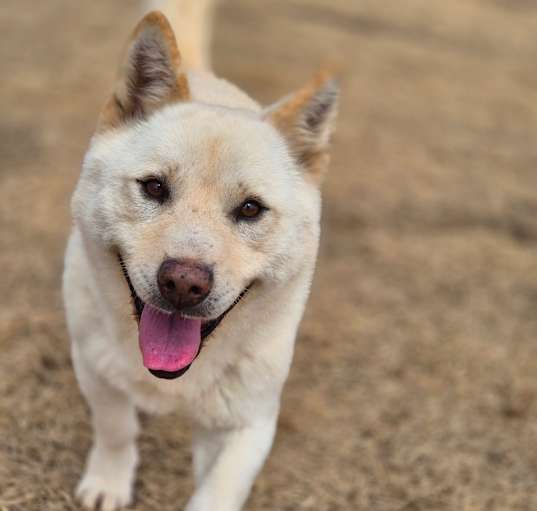 Photo of Happy