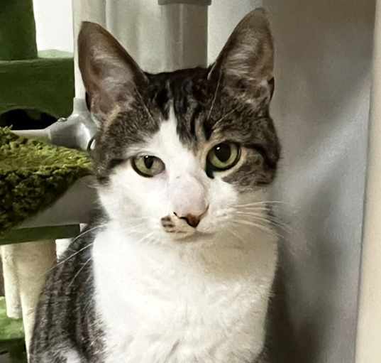 Photo of Max