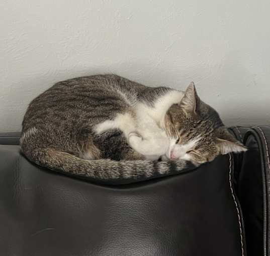 Photo of Soturi
