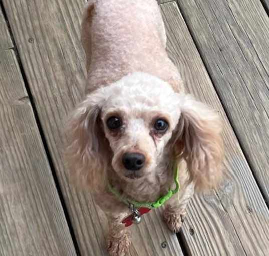 Photo of Hazel
