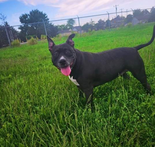 Photo of Midna