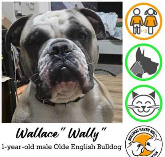 Photo of Wallace