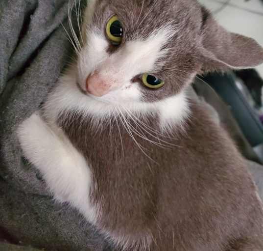 Photo of Fi