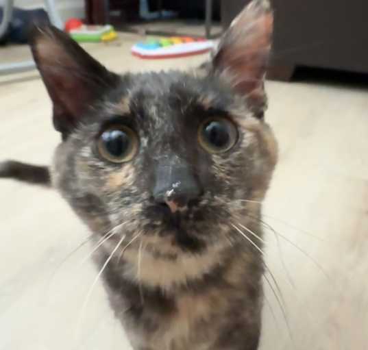 Photo of Mitzi