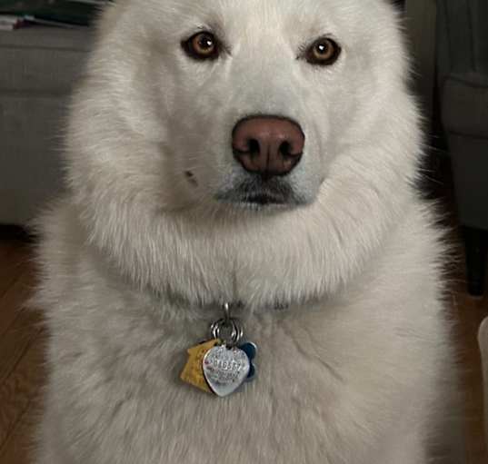 Photo of Frosty