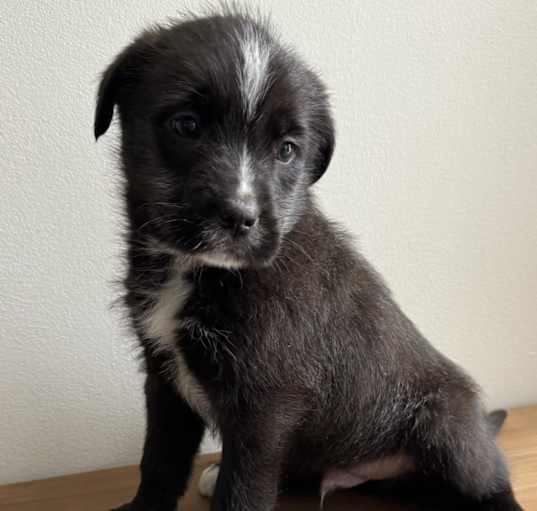 Photo of Jake