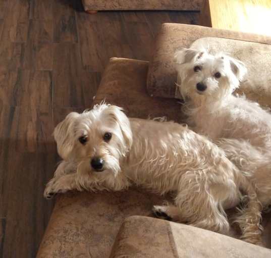 Photo of Pixel & Tech