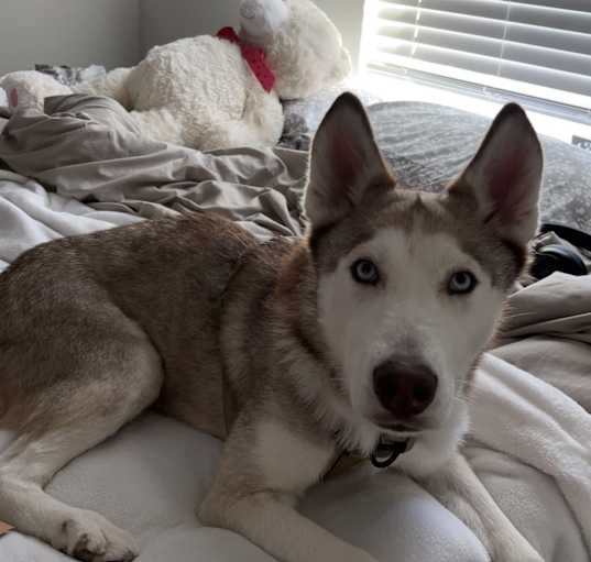 Photo of Zara