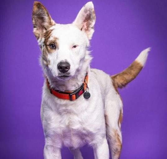 Photo of Cadet