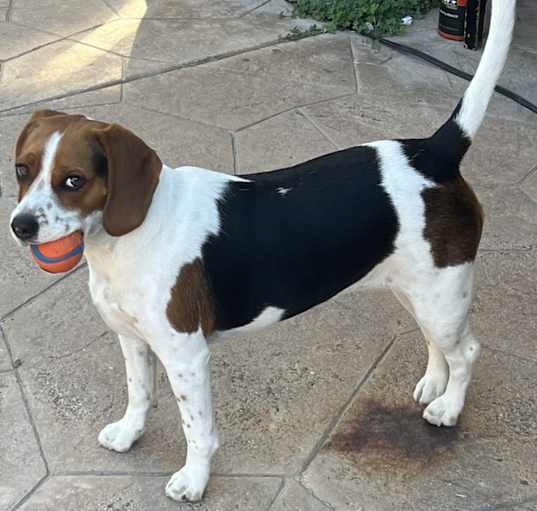 Photo of Charlie