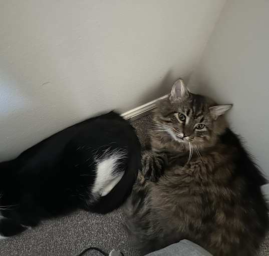 Photo of Zack and Ken