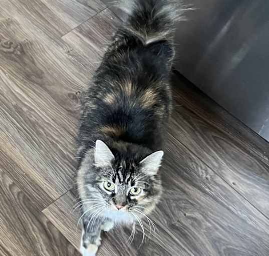 Photo of Lucy