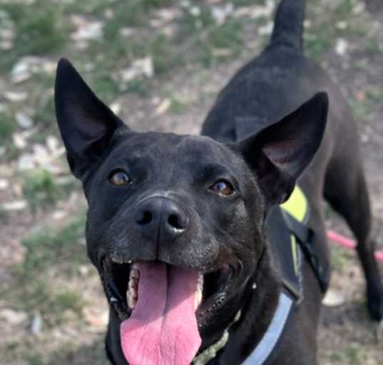 Photo of Murphy