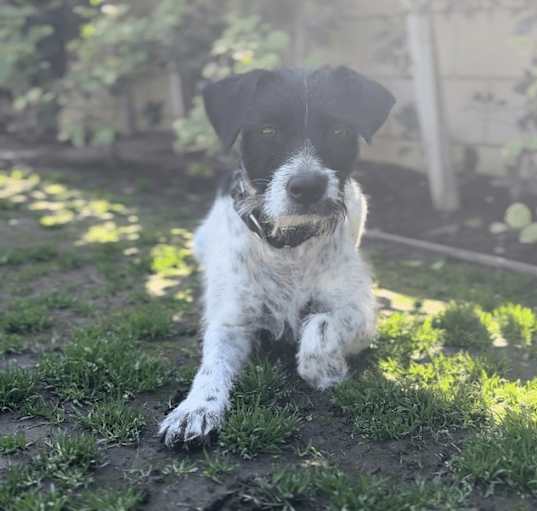 Photo of Blanche
