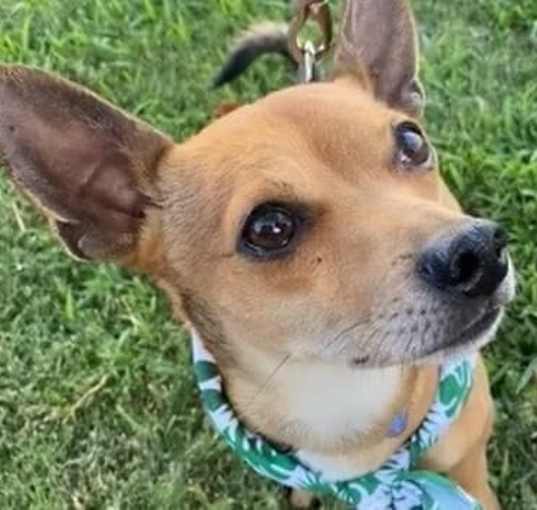 Photo of Bolt