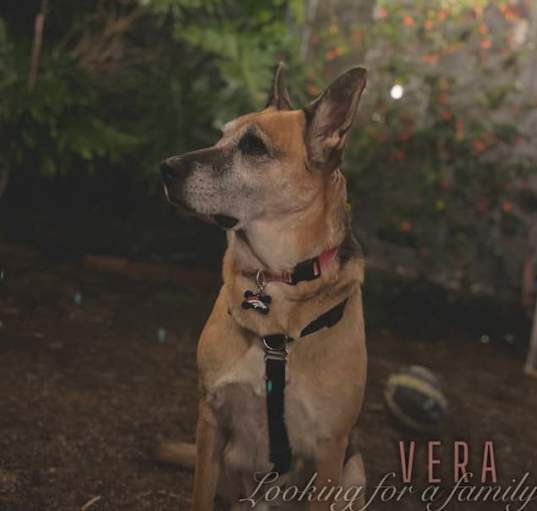 Photo of Vera