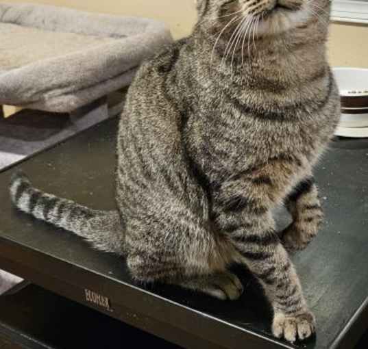 Photo of Nikko
