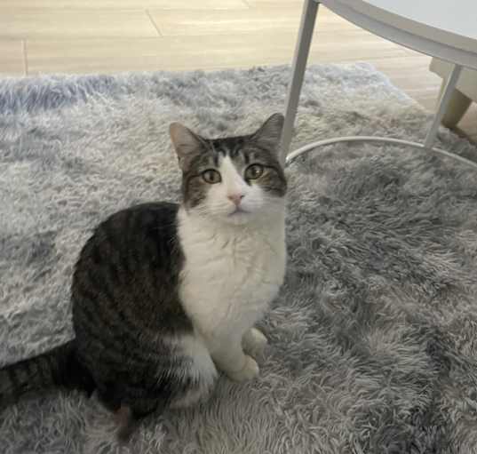 Photo of Molly