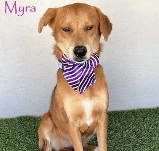 Photo of Myra