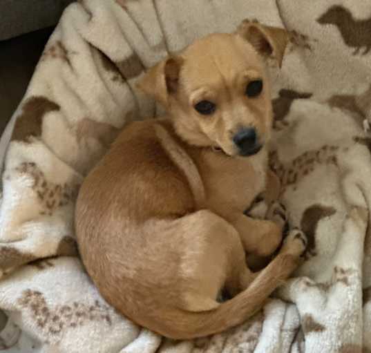Photo of Max