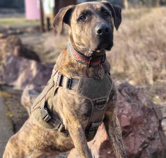 Photo of Flynn