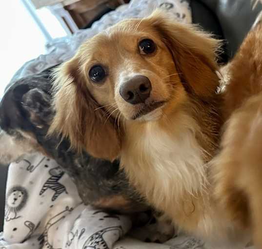 Photo of Max