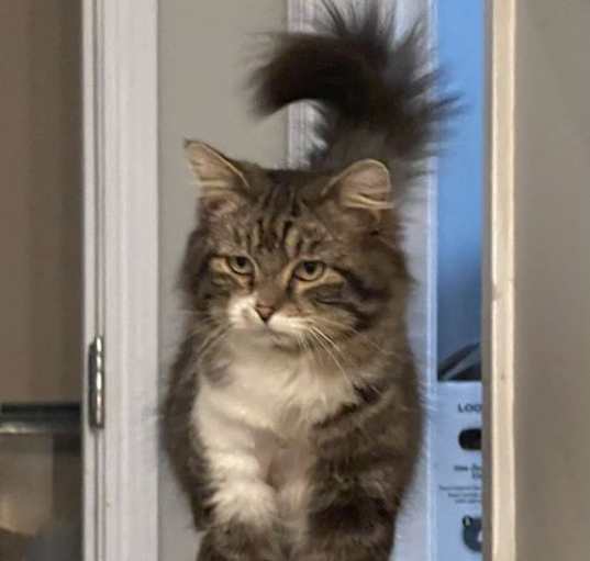 Photo of Lawrence