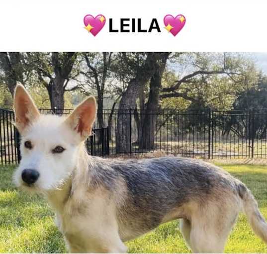 Photo of Leila