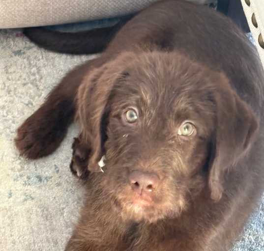 Photo of Rupert