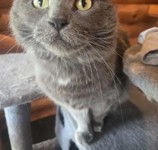Photo of Fifi