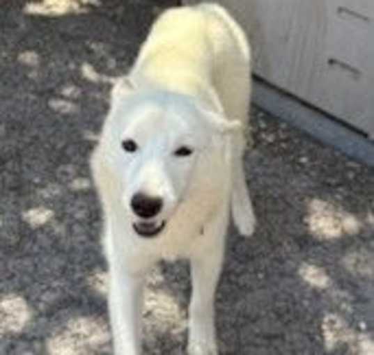 Photo of Riley
