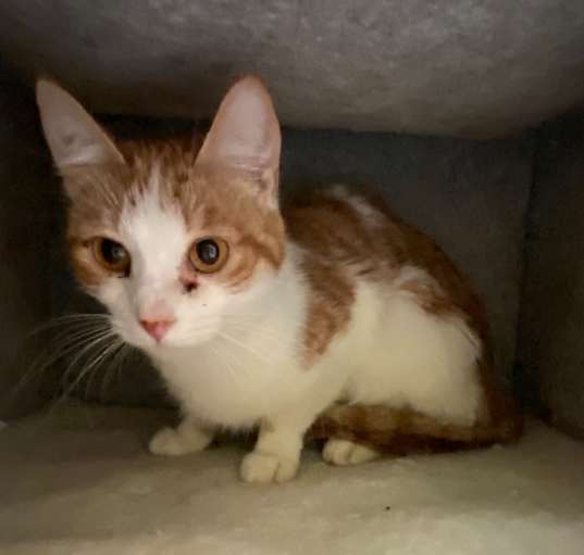 Photo of Kiki