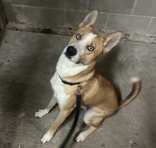 Photo of Zeus