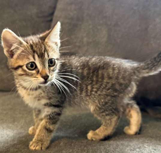 Photo of Millie