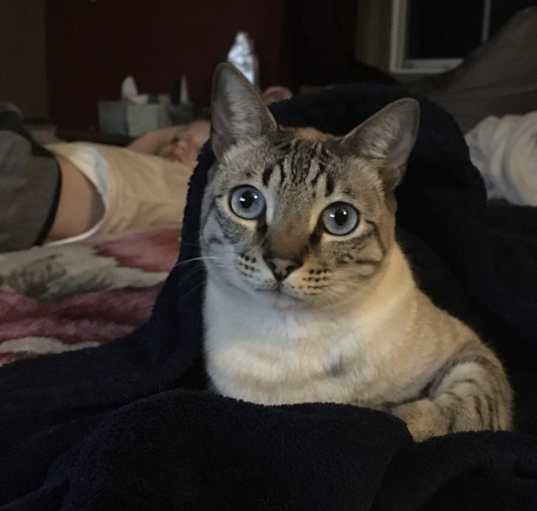 Photo of Bentley