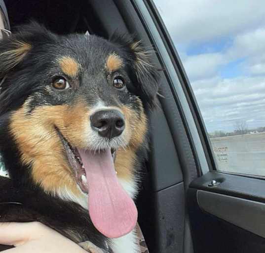 Photo of Nora