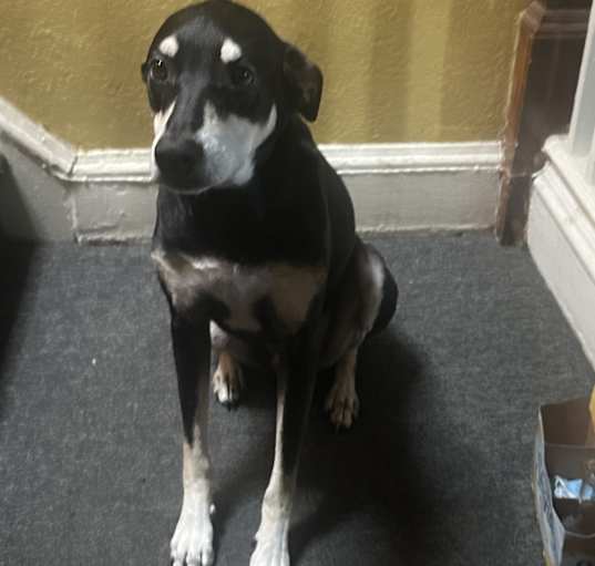 Photo of Blue