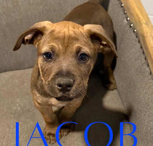 Photo of Jacob