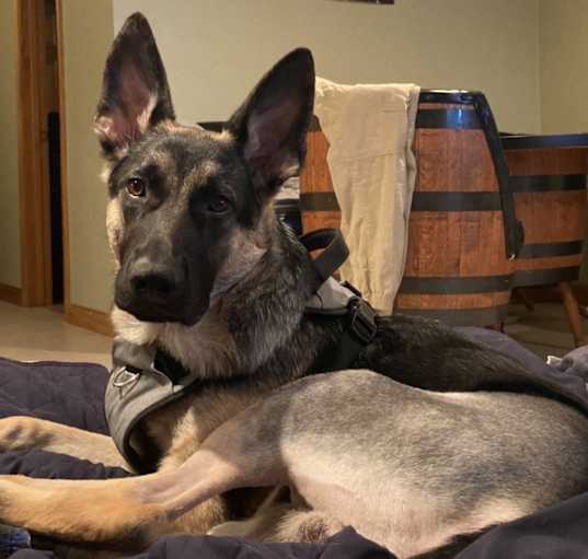 Photo of Axle