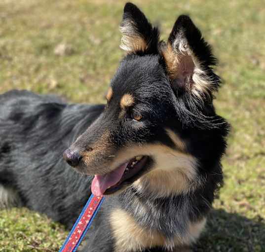 Photo of Willow June