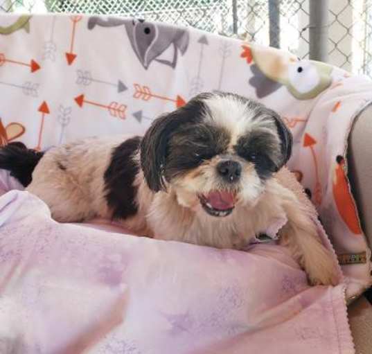 Photo of Brenda
