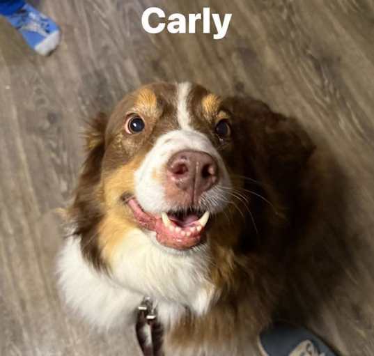 Photo of Carly