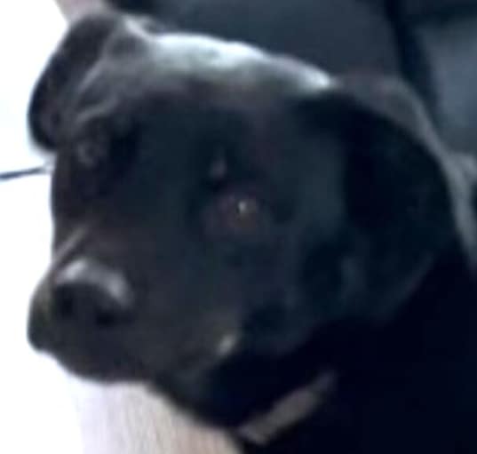 Photo of Karma