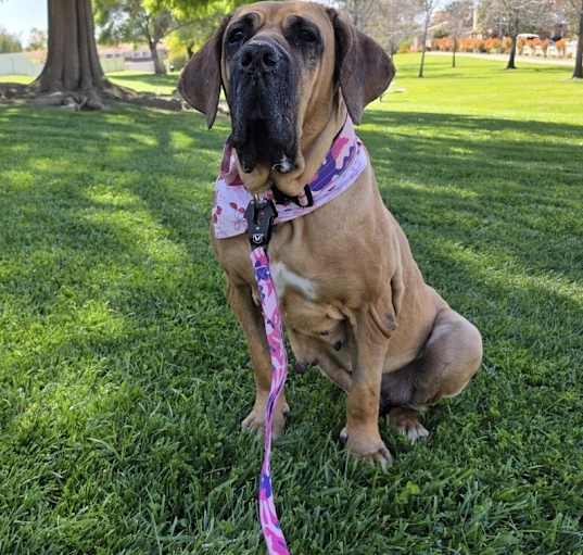 Photo of Edie