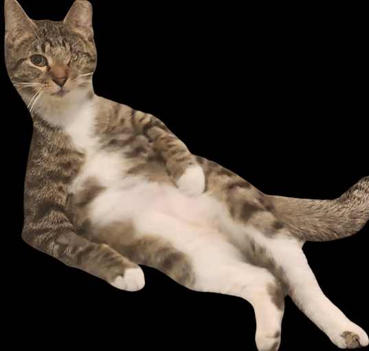 Photo of Boots