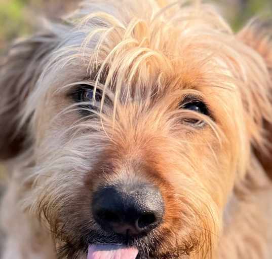 Photo of Bentley
