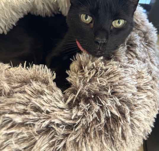 Photo of Stormy