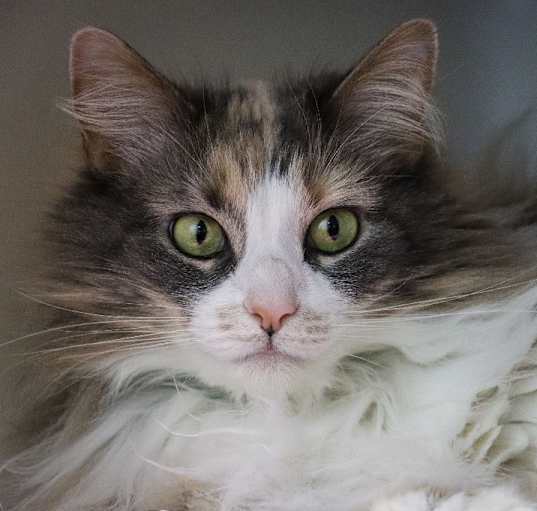 Photo of Eviee