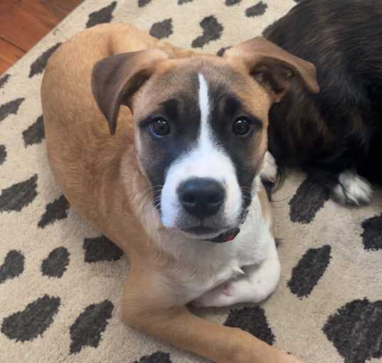 Photo of Lotto